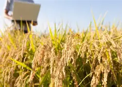 Brazil Weather and Climate Forecasts