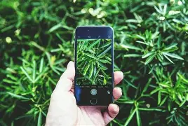 IoT technologies for monitoring soil health