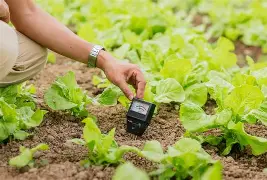 Innovations in agriculture for a sustainable future