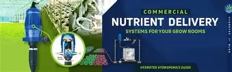 A garden with an automated nutrient delivery system