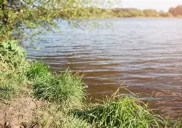 Future of agriculture