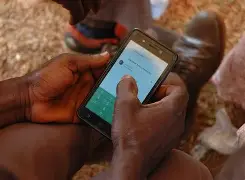 Digital Transformation in Agriculture