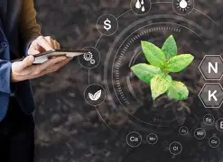 Drones in Agriculture - DJI Mavic 3 Multispectral