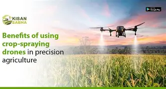Drones in Agriculture - Precision Farming