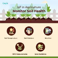 IoT devices for real time soil moisture monitoring