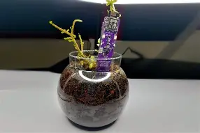 IoT devices for real time soil moisture monitoring