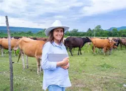 Precision livestock monitoring system