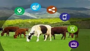 Investment opportunities