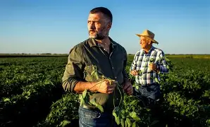 Regenerative agriculture practices for soil health restoration