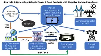 Optimized solar panel design for agriculture