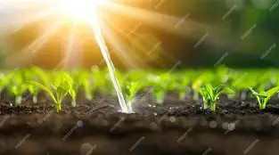 Soil Moisture Sensor