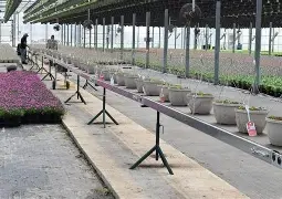 Greenhouse Automation System Interface