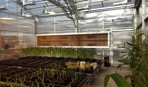 Greenhouses with Sustainable Practices