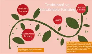 A farmer using cover crops