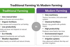 A field with conventional crops