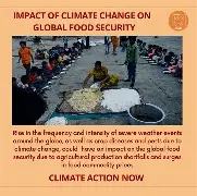 Impact of consumption patterns on the environment