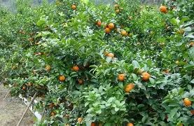 Investment opportunities