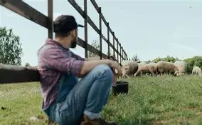 Urban farming business models diagram