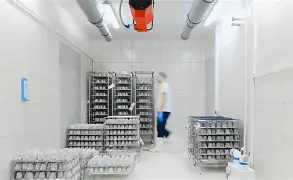 AI-Optimized Cold Chain Logistics