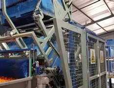 Orange sorter washing processing line