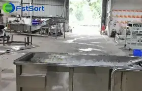 Automated sorting machine for citrus