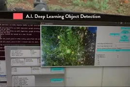 Autonomous Harvester working in a Kiwi Farm