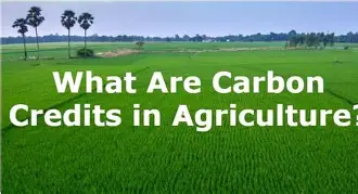 Sustainable agriculture through cloud-based platforms