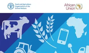 Digital trading platform case study 2