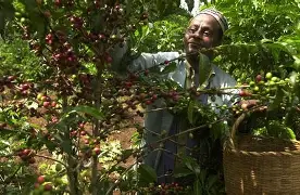 Digital trading platform case study 1