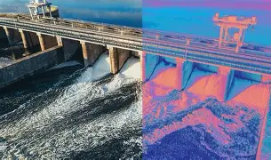 A visual representation of a large-scale olive grove