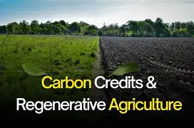 Agricultura Regenerativa