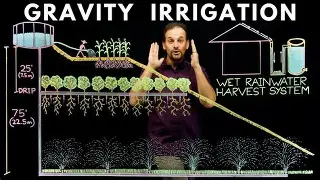 Traditional irrigation system vs drip irrigation
