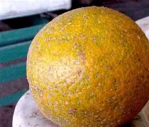 Challenges in Implementing Smart Monitoring Systems