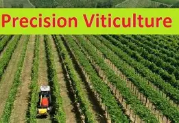 Satellite imagery for precision viticulture